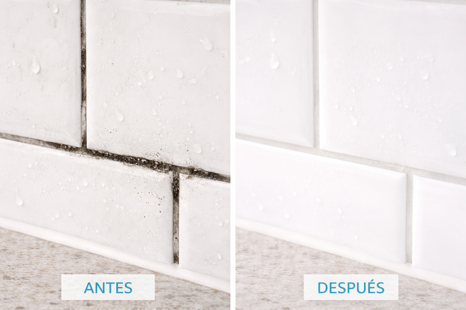 Como quitar el moho en las juntas de la ducha